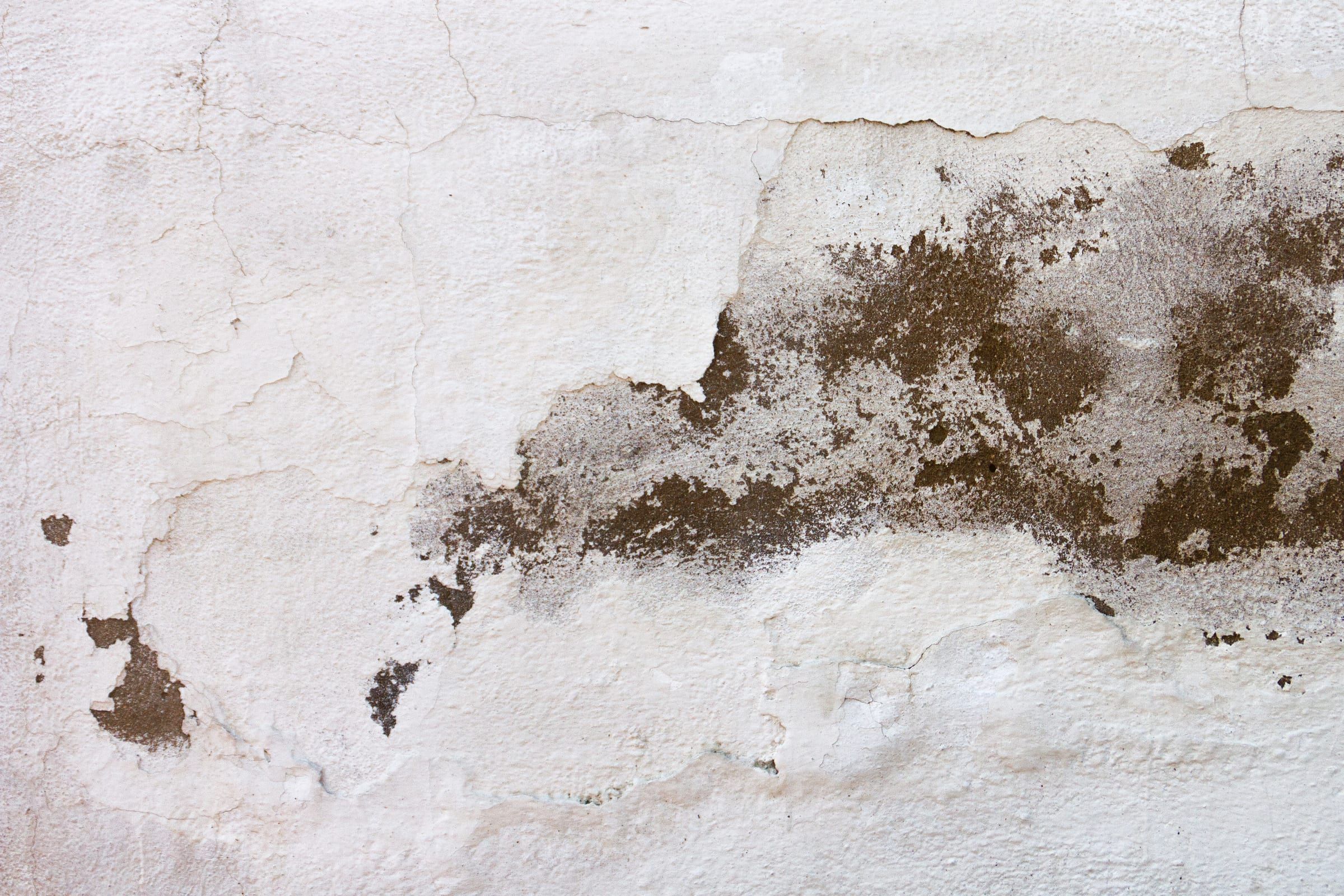 Feuchteflecken und abplatzender Putz an einer Wand