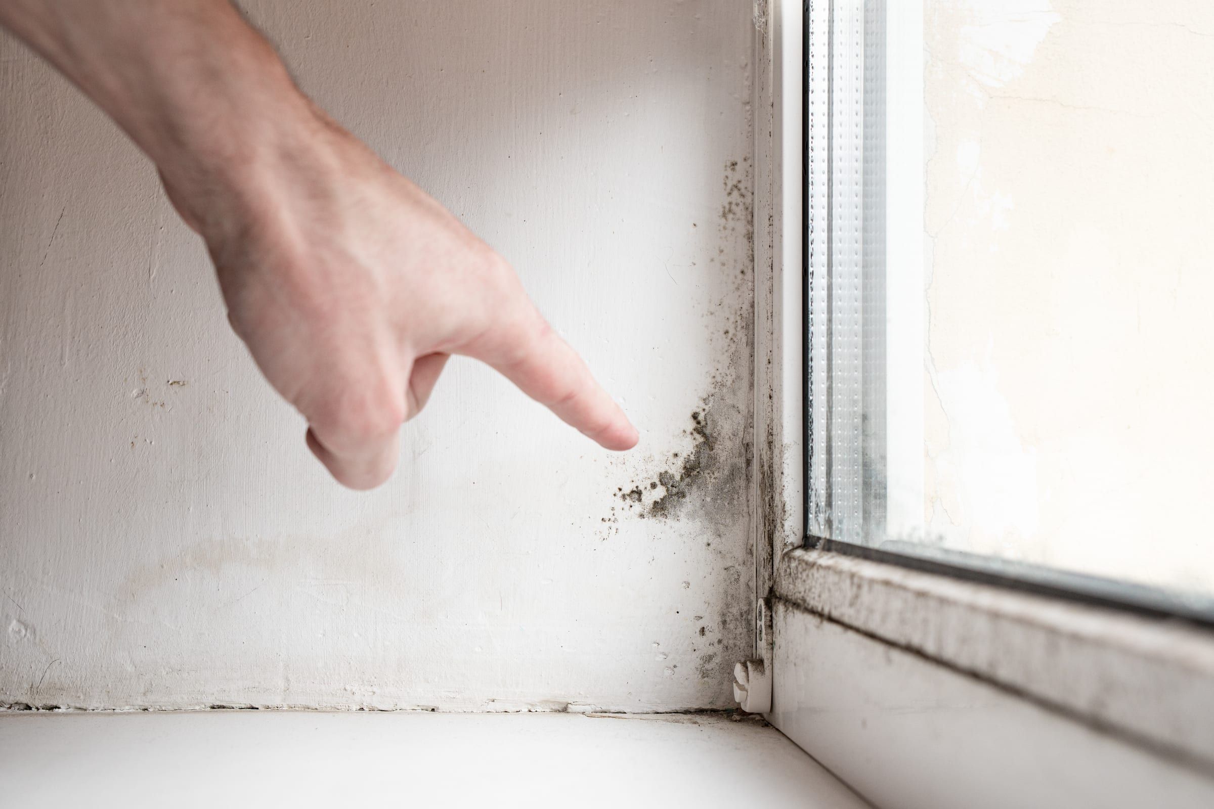 Schimmel in der Ecke eines Fensters